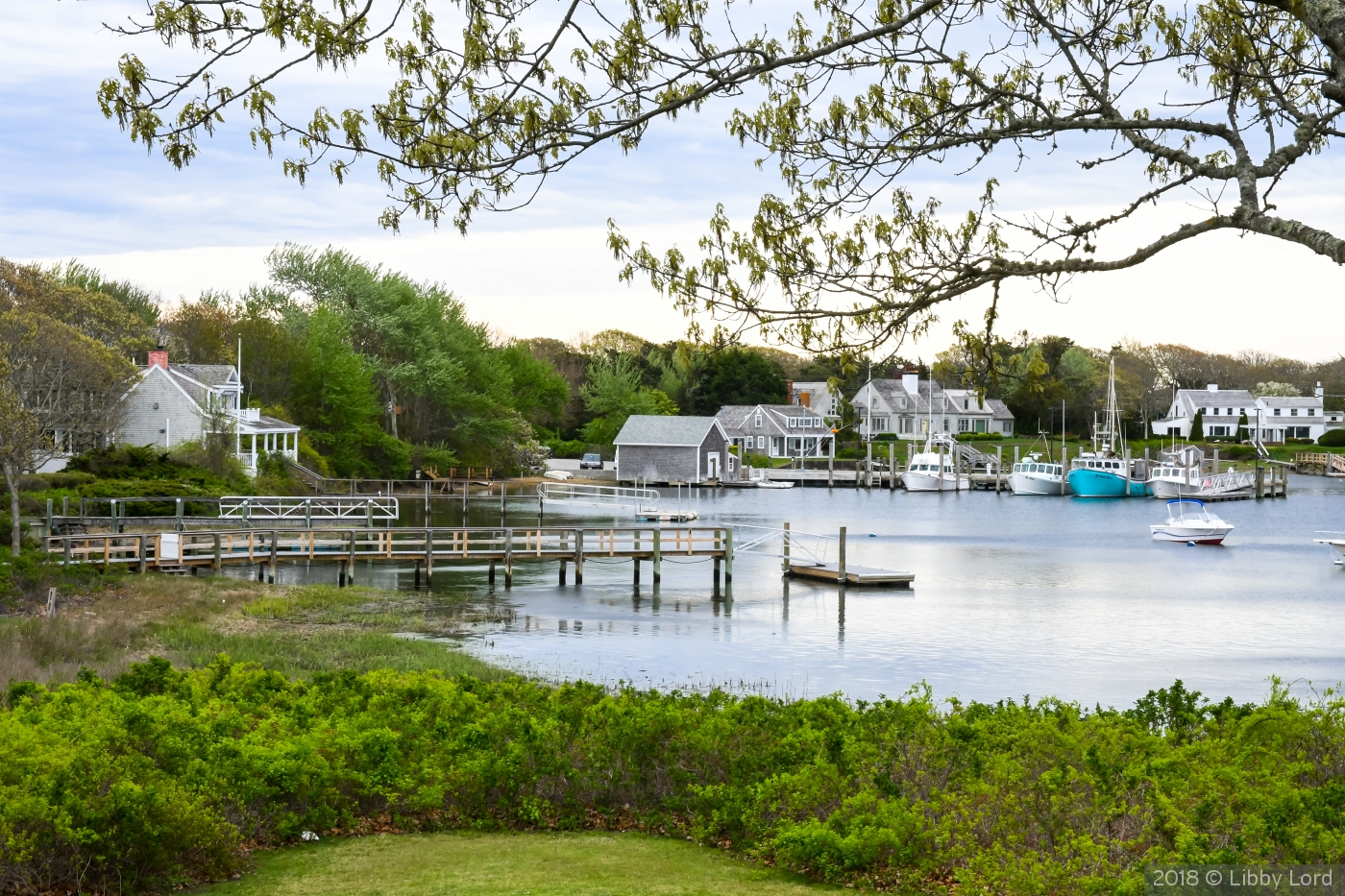 A Cove on the Cape by Libby Lord