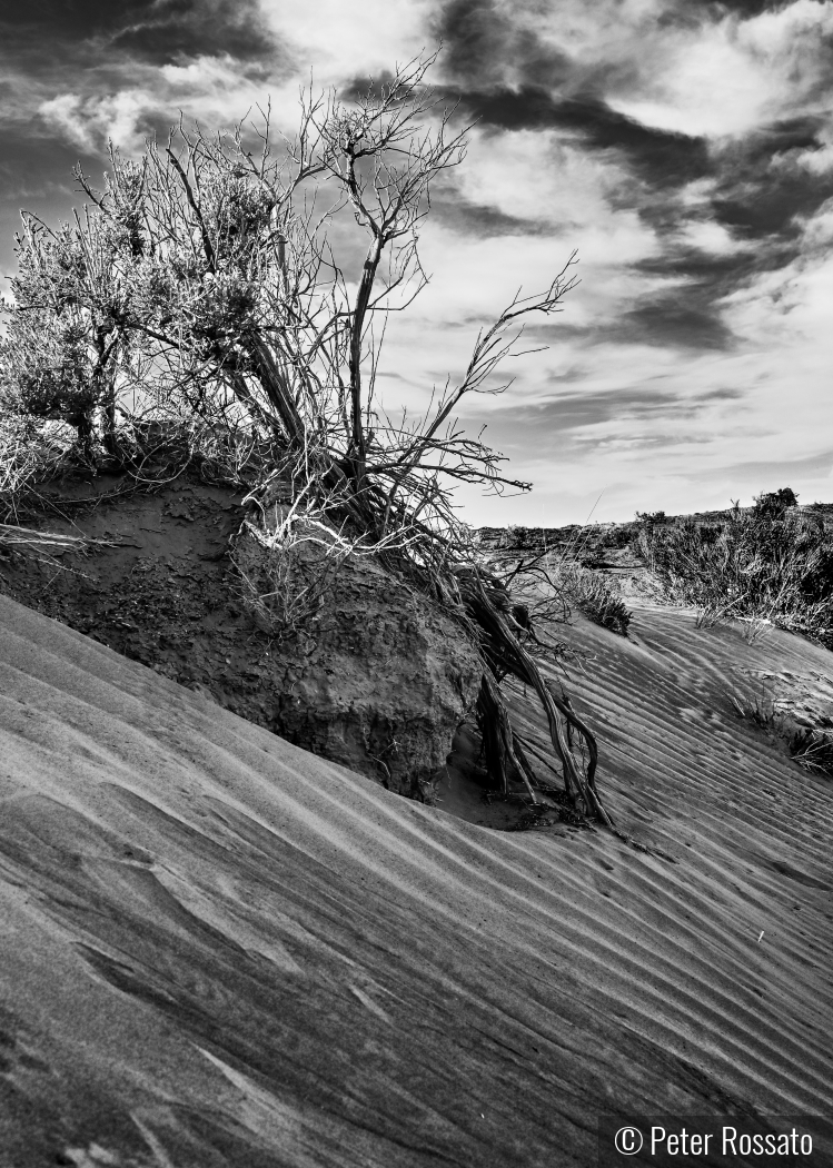 A Moment of Reflection in the Desert by Peter Rossato