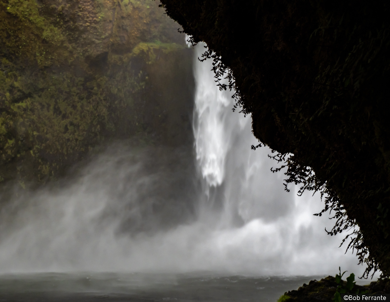 A view from a quiet nook ! by Bob Ferrante