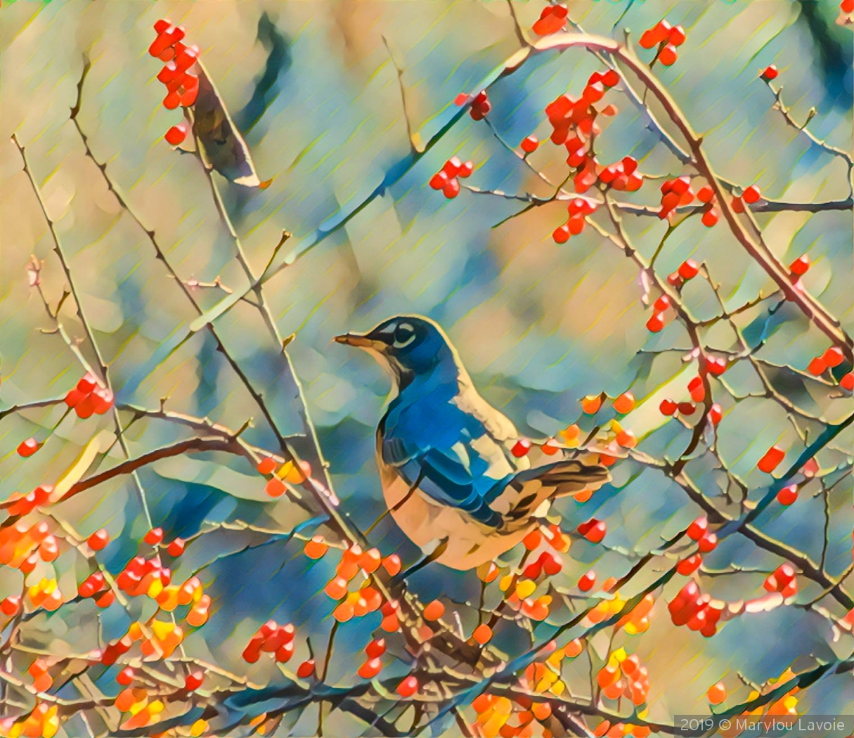 Abundance by Marylou Lavoie