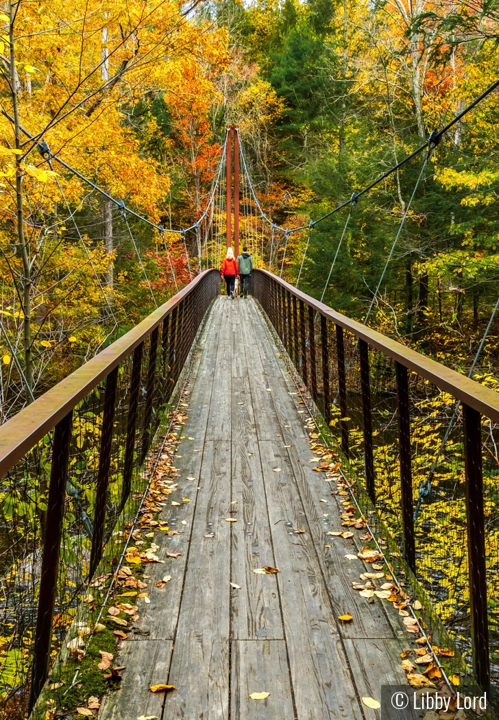 Across the Swing Bridge by Libby Lord