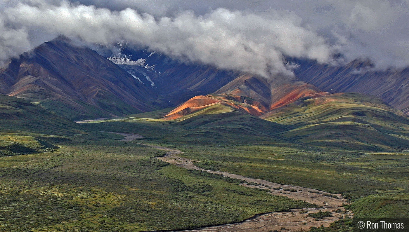 Alaska Denali National Park Eielson Overlook by Ron Thomas