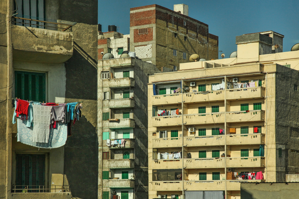 Alexandria Concrete Jungle by Susan Poirier