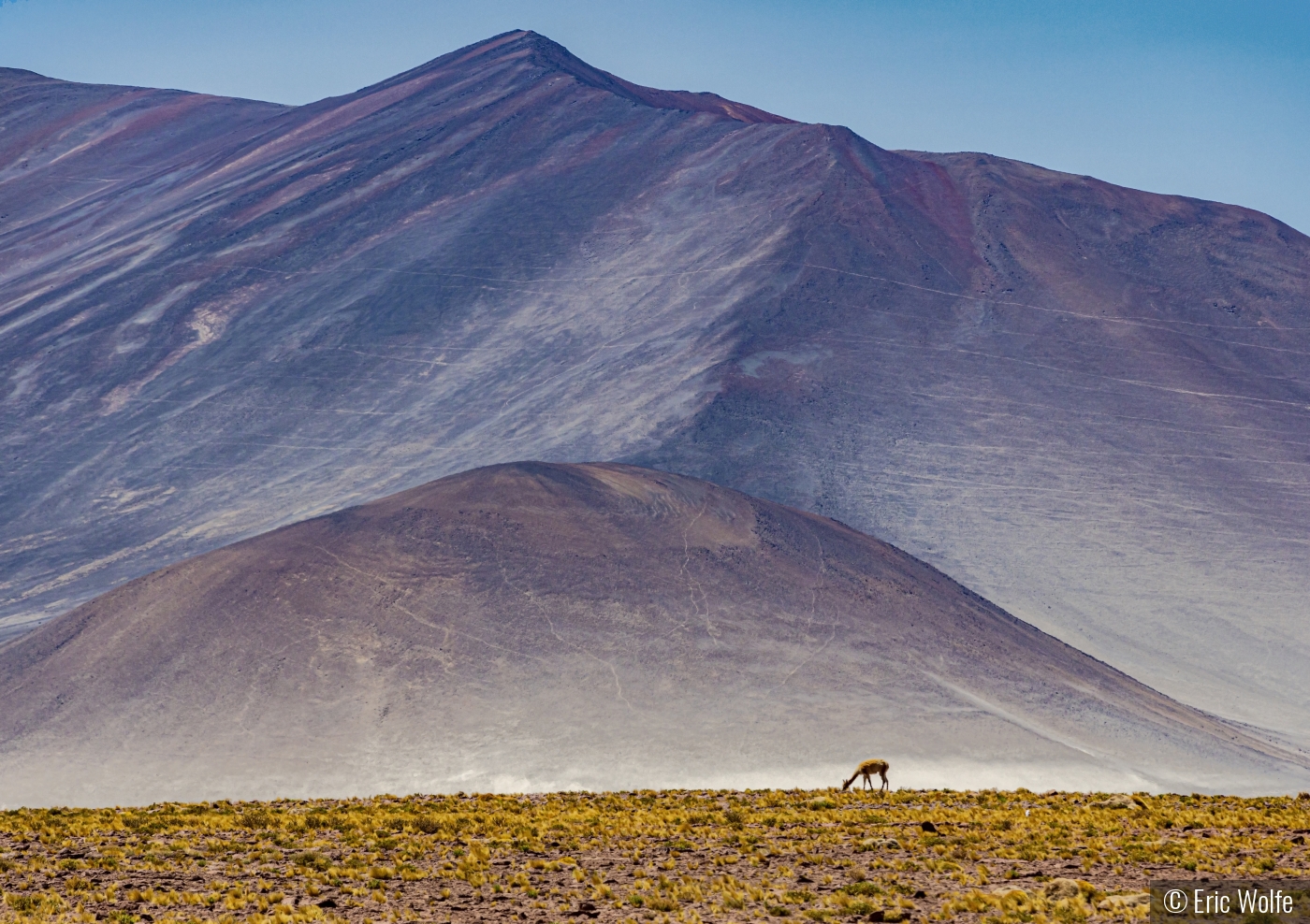 Alone by Eric Wolfe