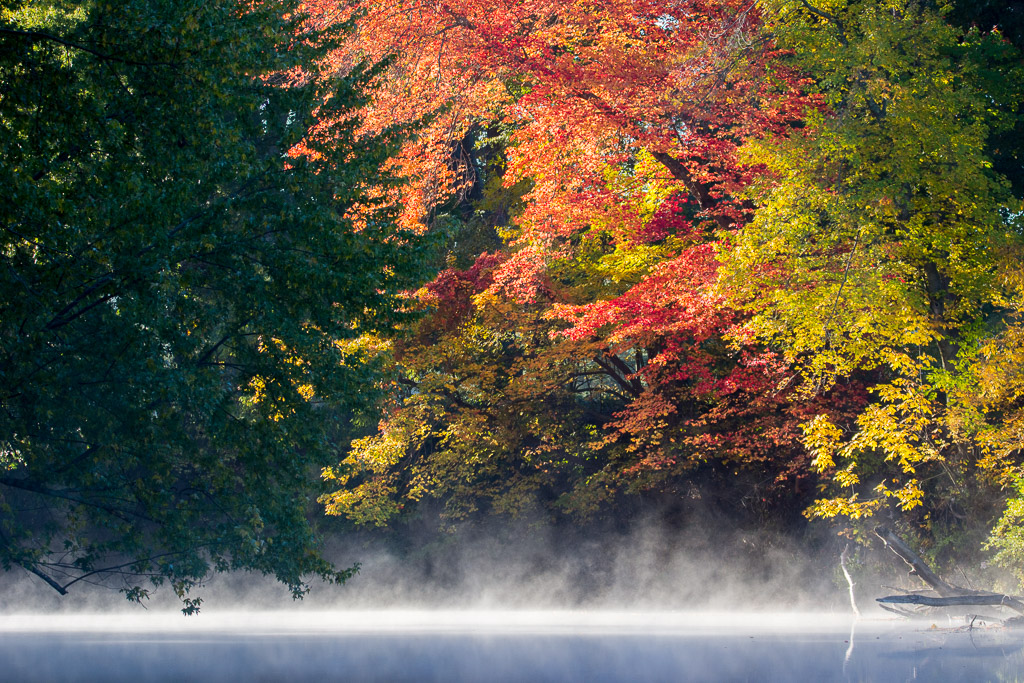 An autumn morning by Farmington River- Avon, CT by Aadarsh Gopalakrishna