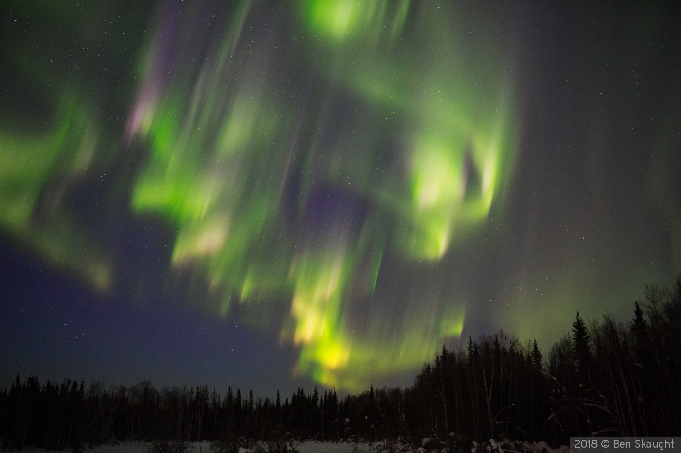 An Explosion of Color by Ben Skaught