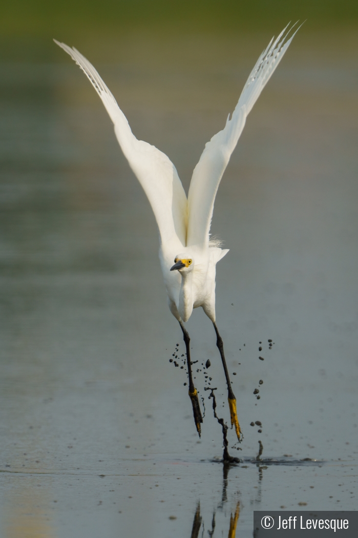 And we have liftoff by Jeff Levesque