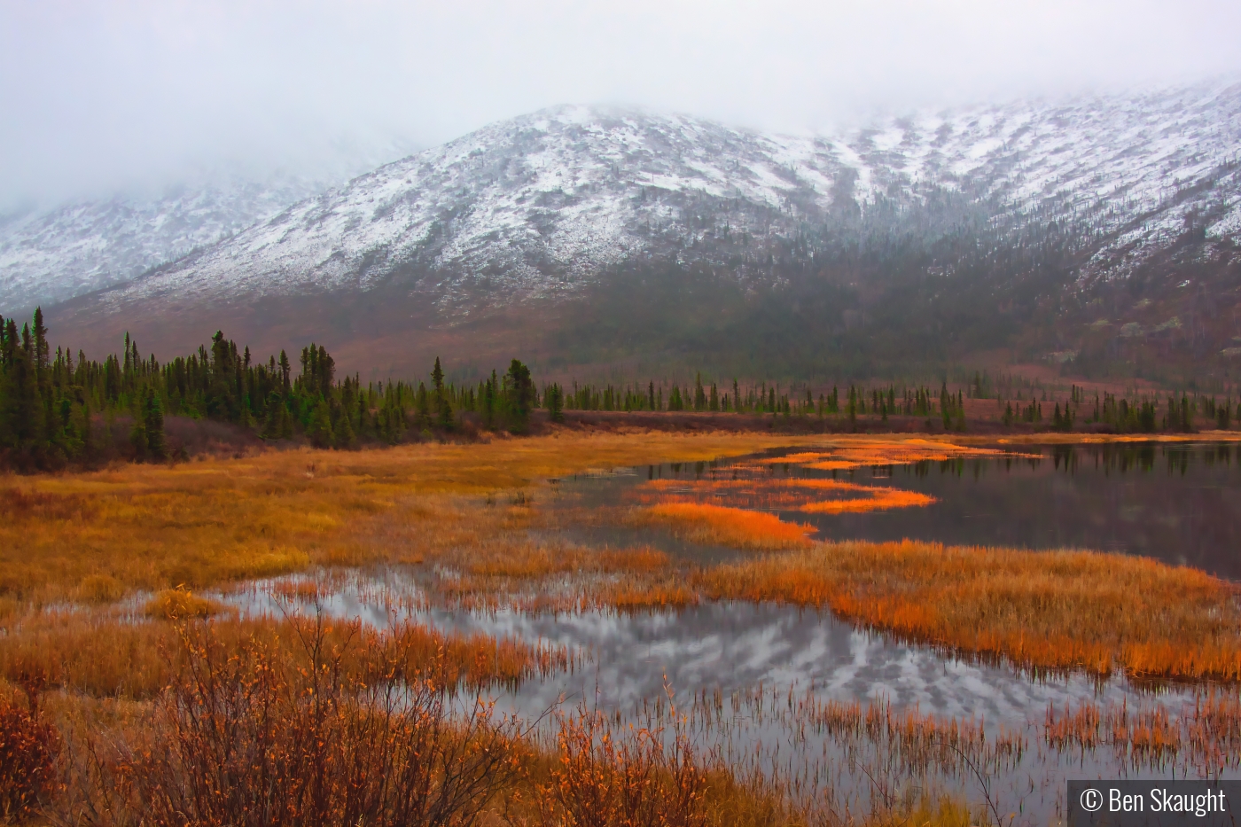 Autumn Reflections by Ben Skaught