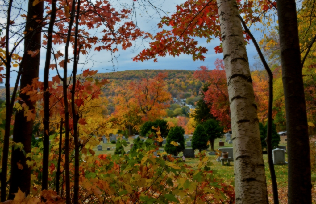 autumn splendor by Ginny Thibodeau