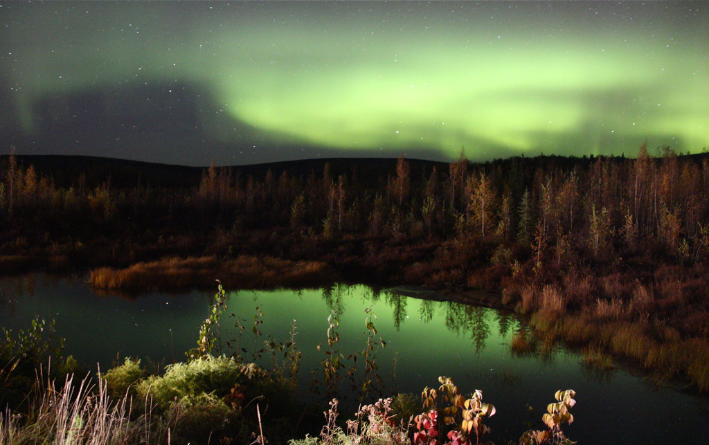 Autumnal Aurora by Barbara Steele