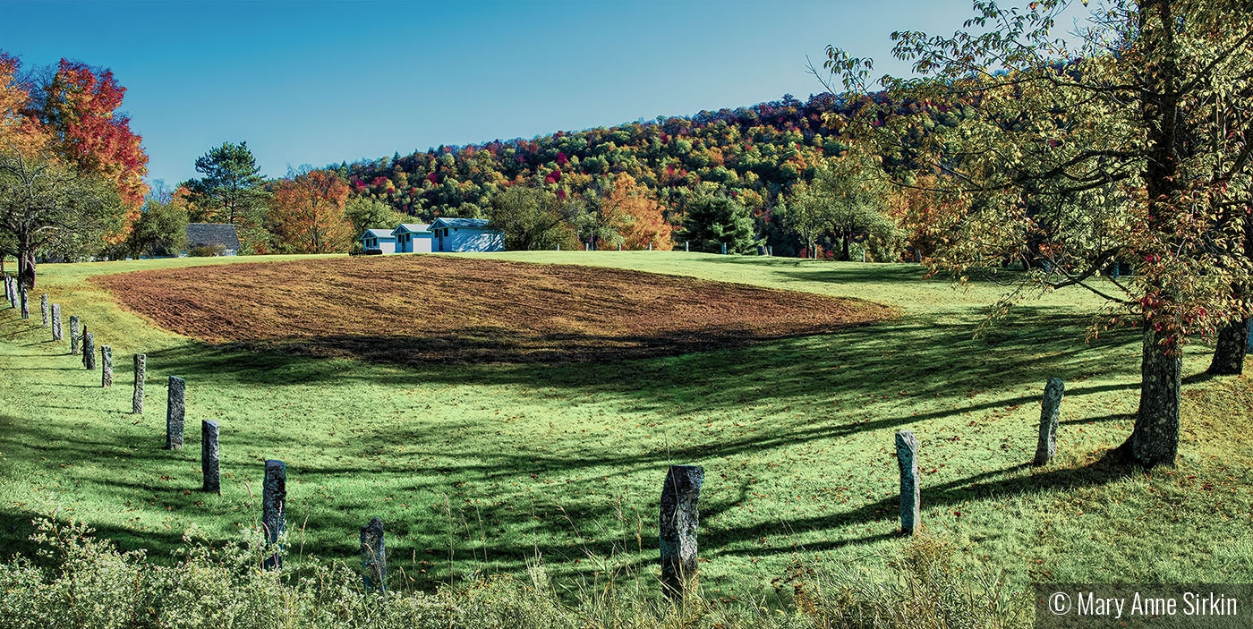 Autumnal Field by Mary Anne Sirkin