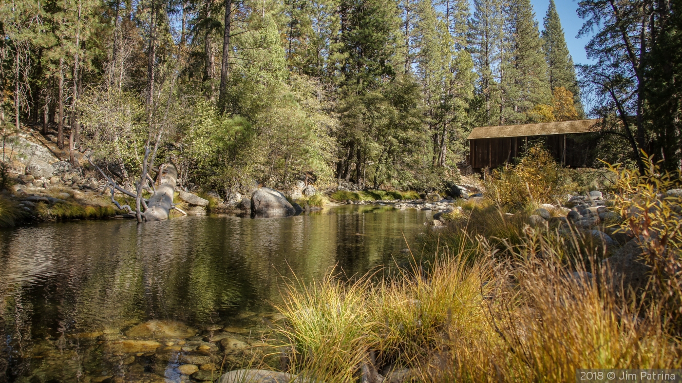 Babbling Brook by Jim Patrina