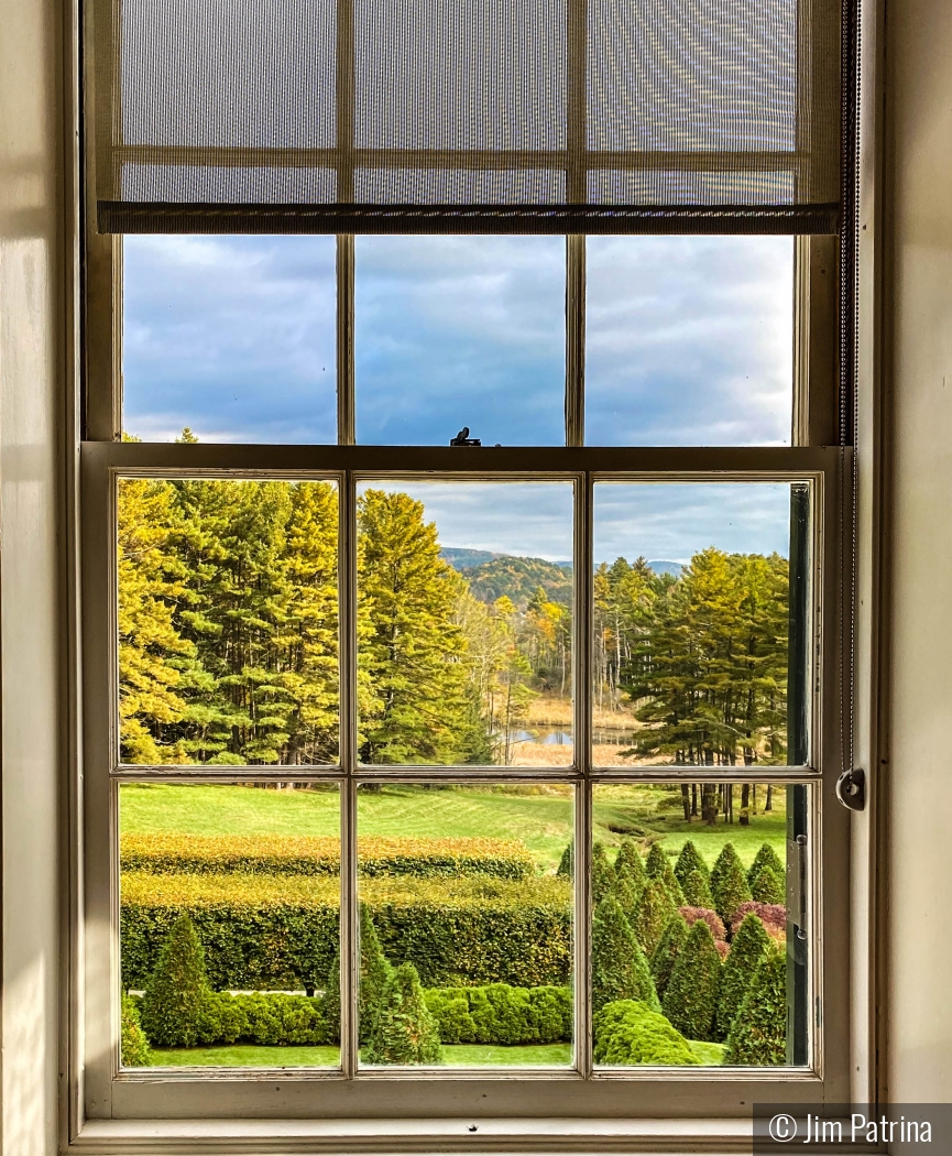 Backyard view by Jim Patrina