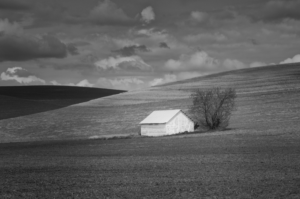 Barn on the Hill by Danielle D'Ermo