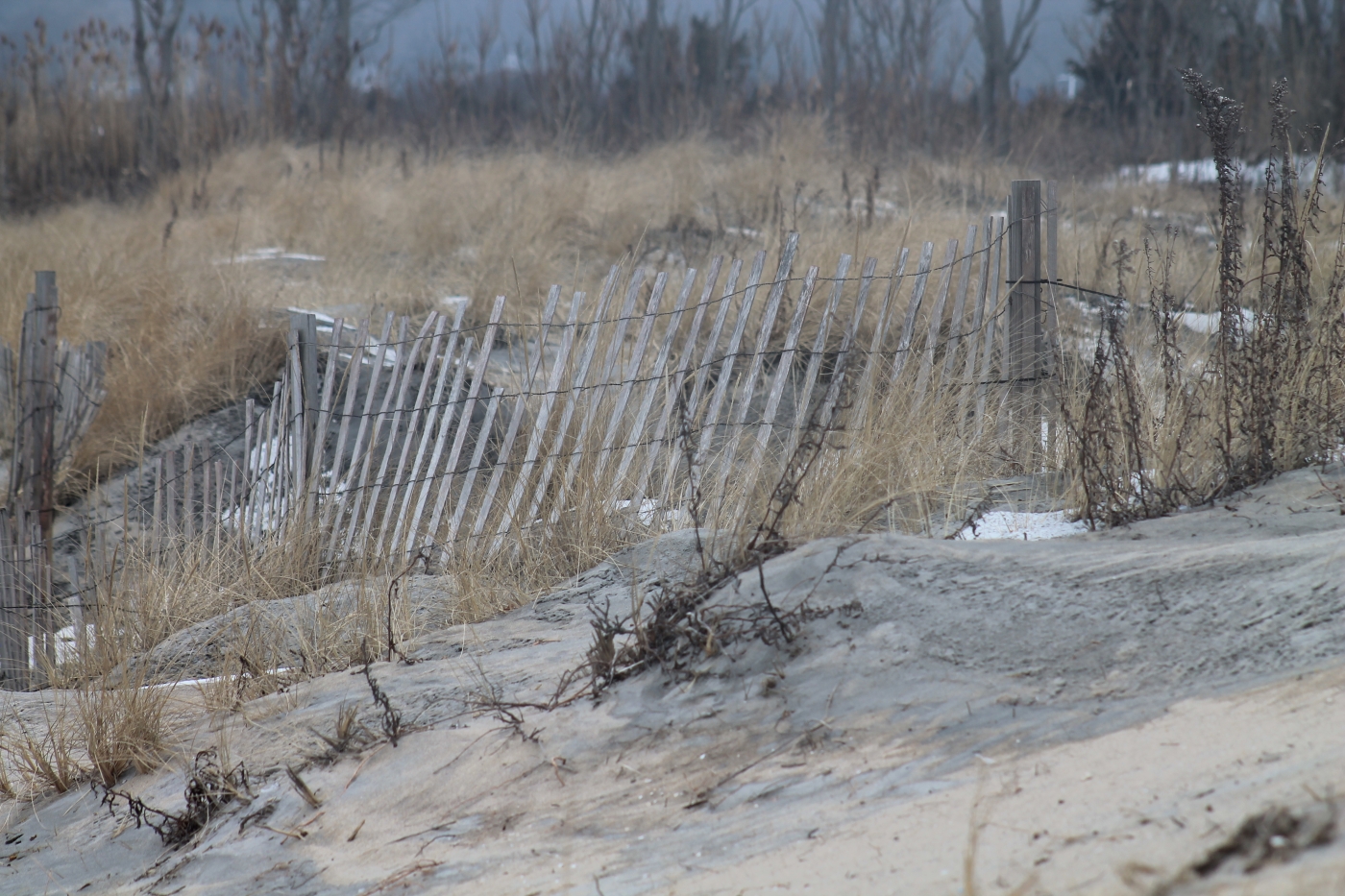 Beach Fence by James Haney