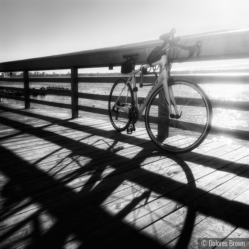 Bike On The Pier by Dolores Brown