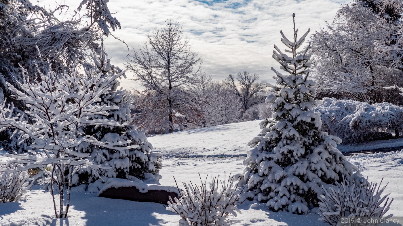 Bloomfield Winter Wonderland by John Clancy