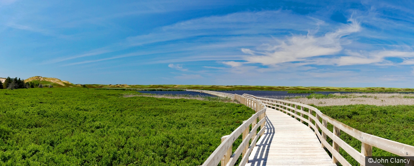 Boardwalk to the shore by John Clancy