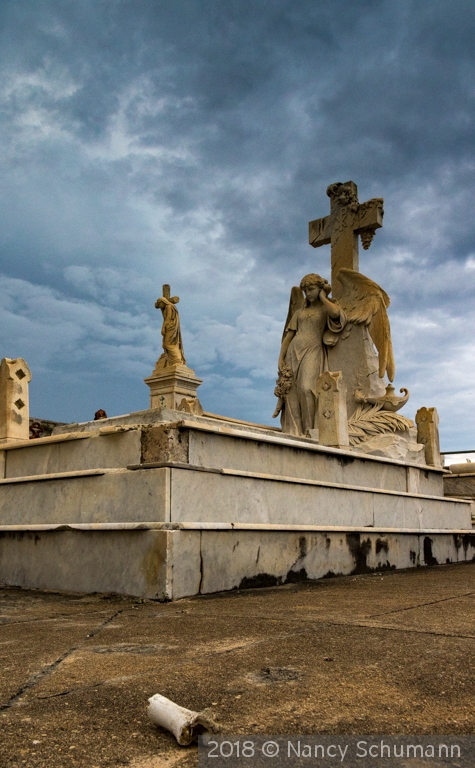 Bone in the boneyard by Nancy Schumann