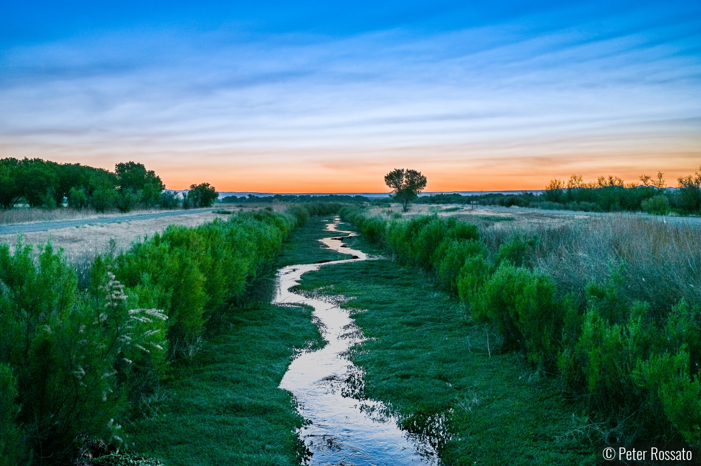 Bosque Sunrise by Peter Rossato