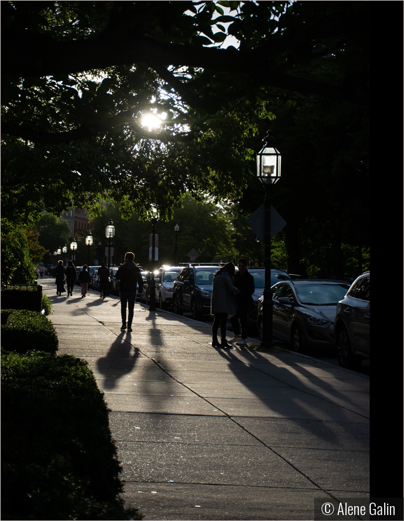 Boston at Night by Alene Galin