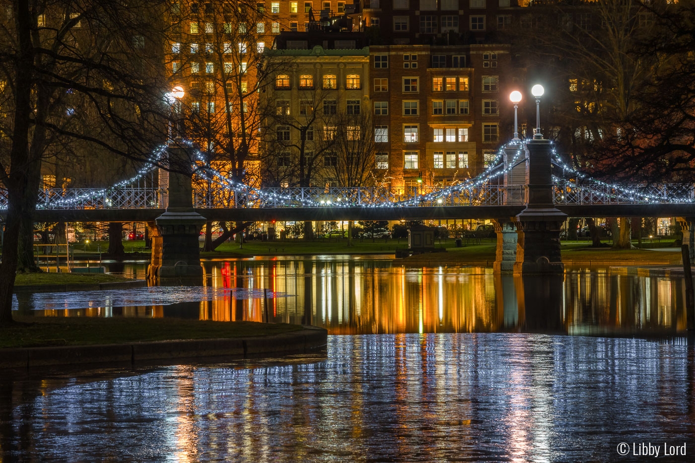 Boston Public Garden by Libby Lord