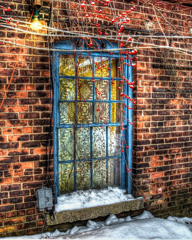 Bricks Berries And Stained Lace by Dolf Fusco