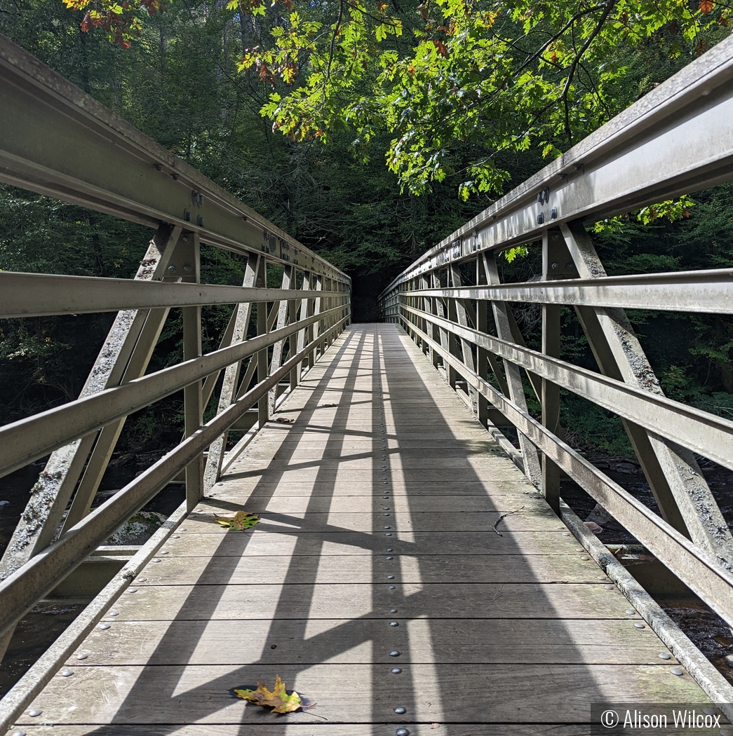 Bridge by Alison Wilcox