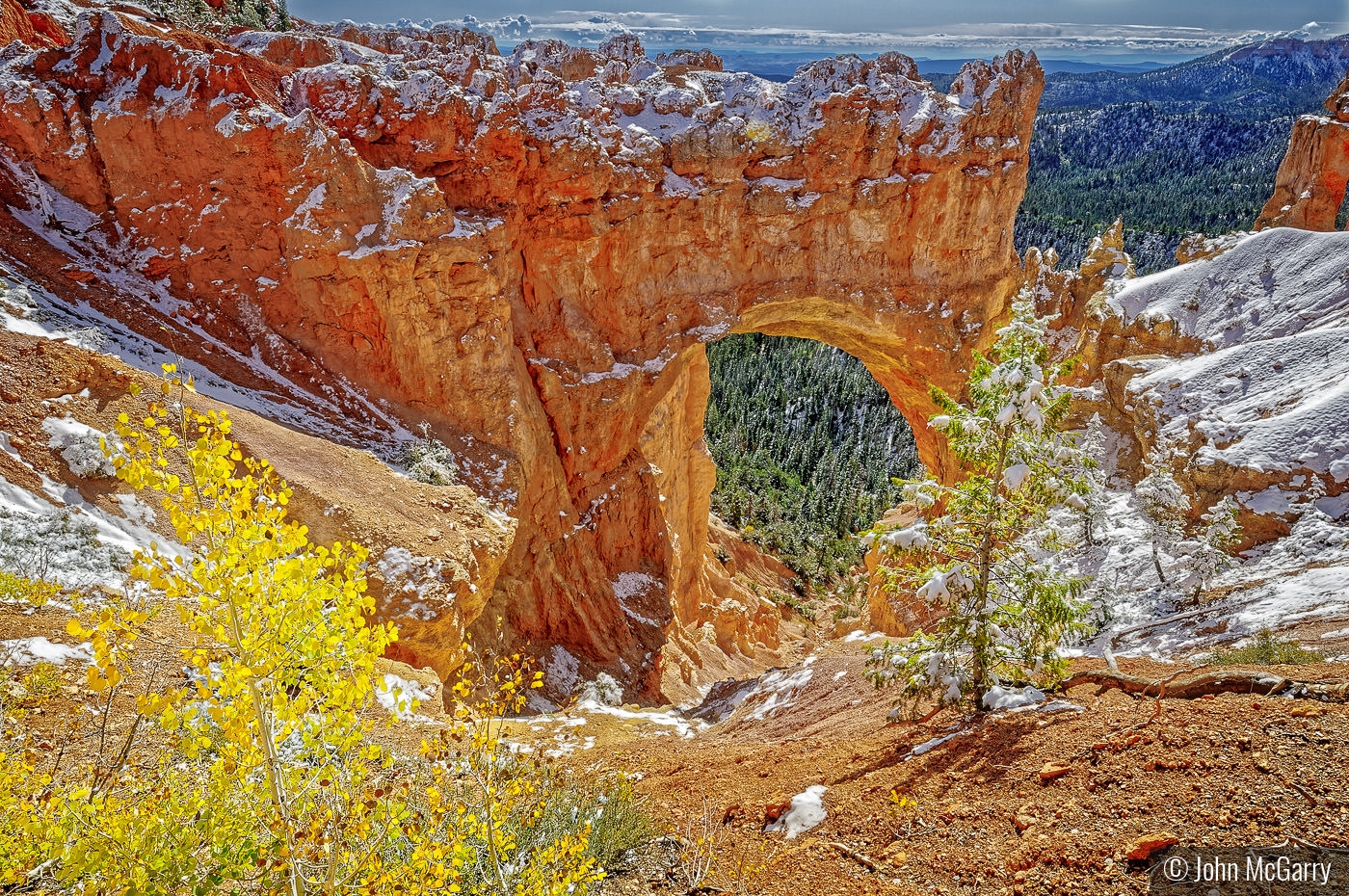 Bryce Canyon Natural Bridge by John McGarry