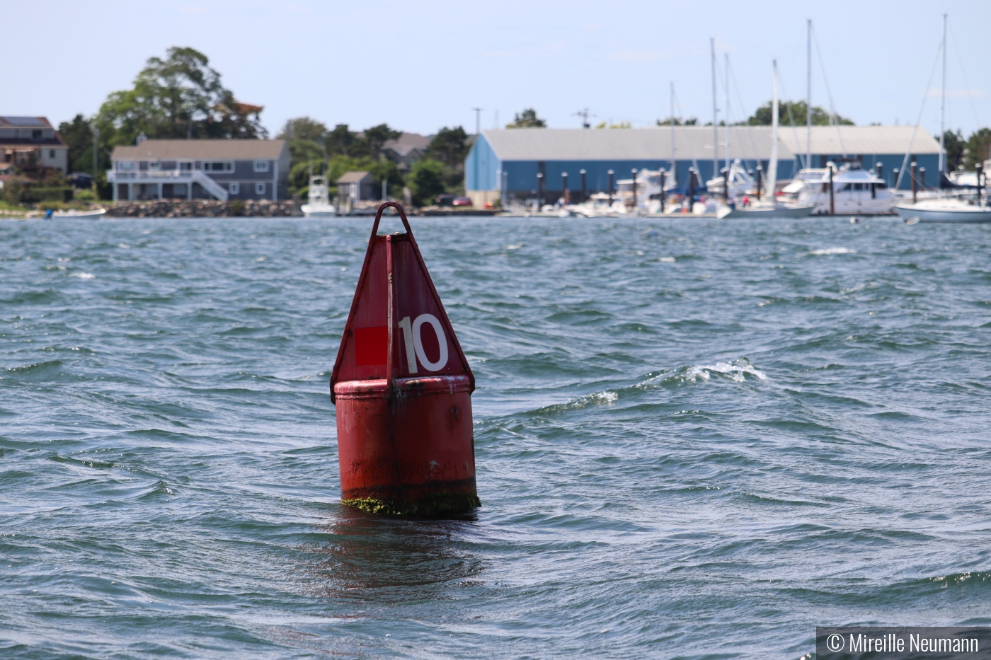 Buoy #10 by Mireille Neumann