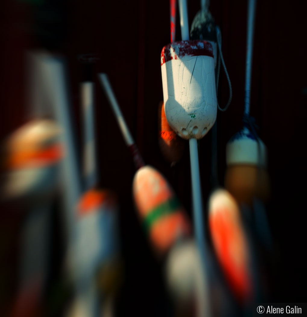 Buoys by Alene Galin