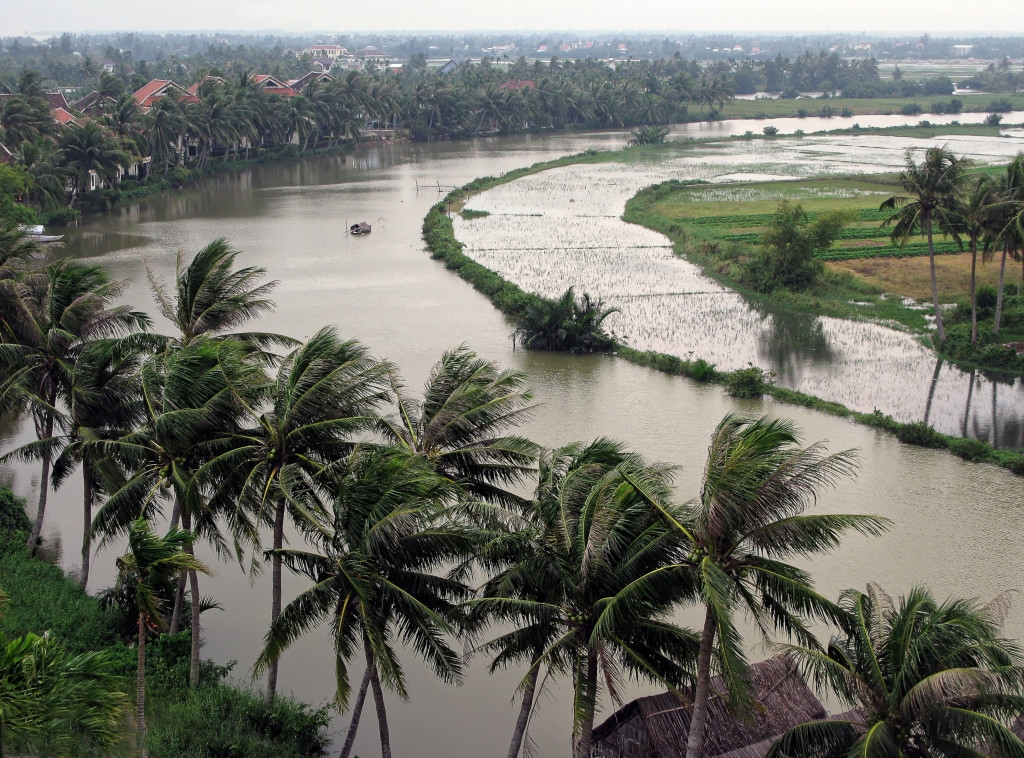 Cambodian River And Rice Paddies by Louis Arthur Norton