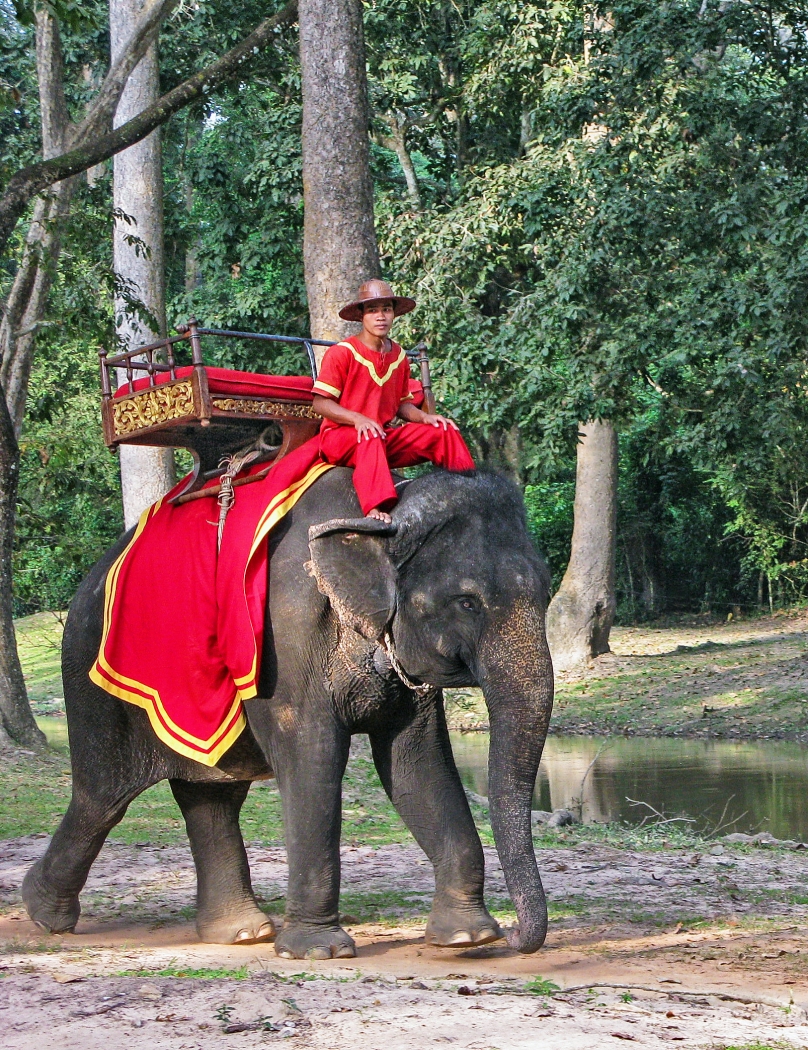 Cambodian Uber Service by Louis Arthur Norton