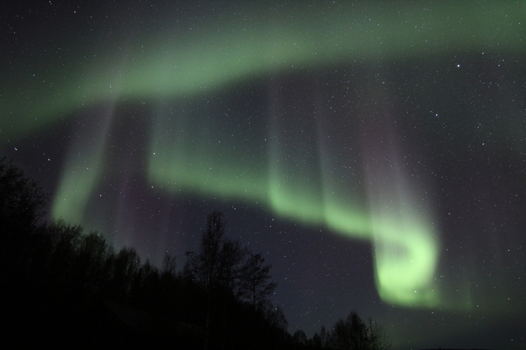 Capturing the Elusive Aurora by Barbara Steele