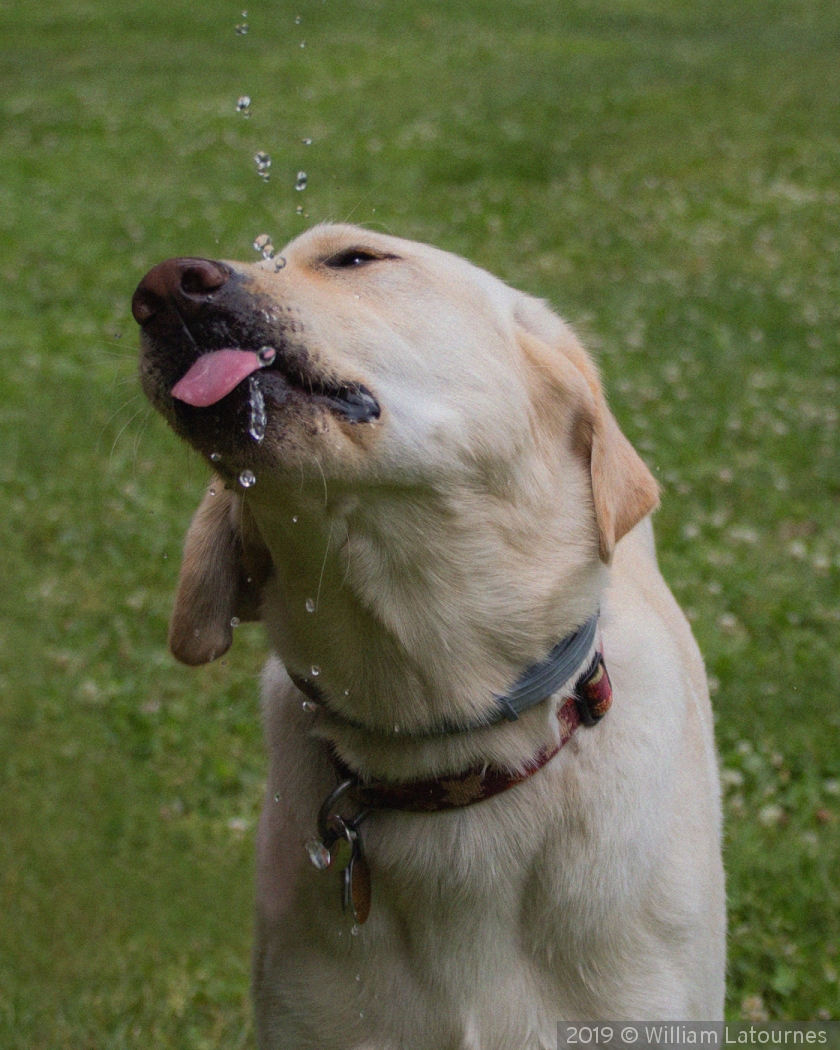 Catching The Drops by William Latournes