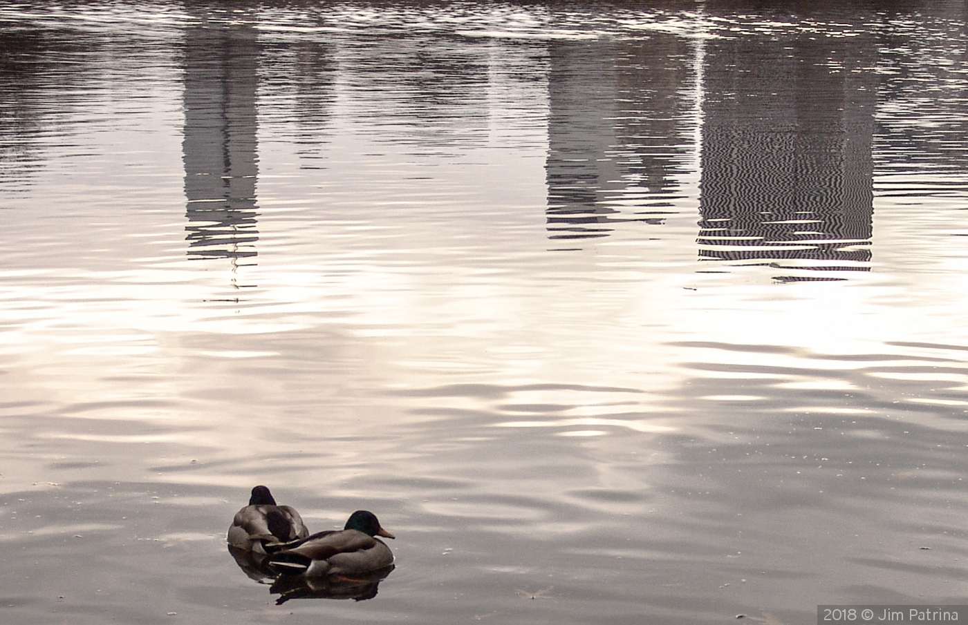 Central Park Reflections by Jim Patrina