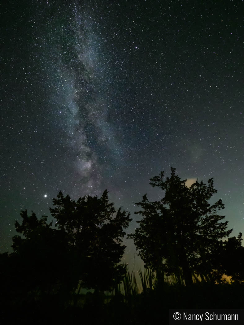 Charlestown Night Skies by Nancy Schumann