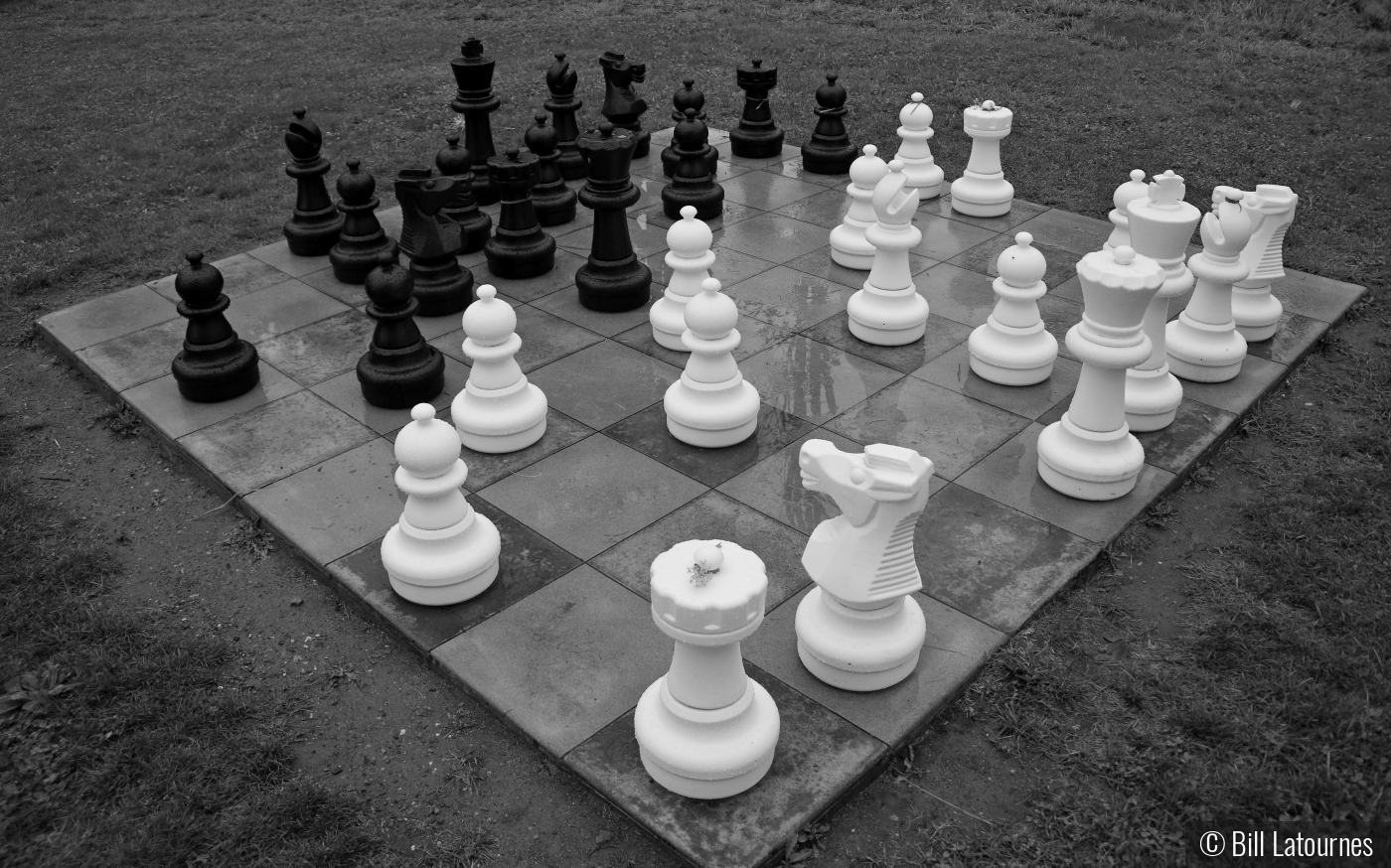 Check Mate by Bill Latournes