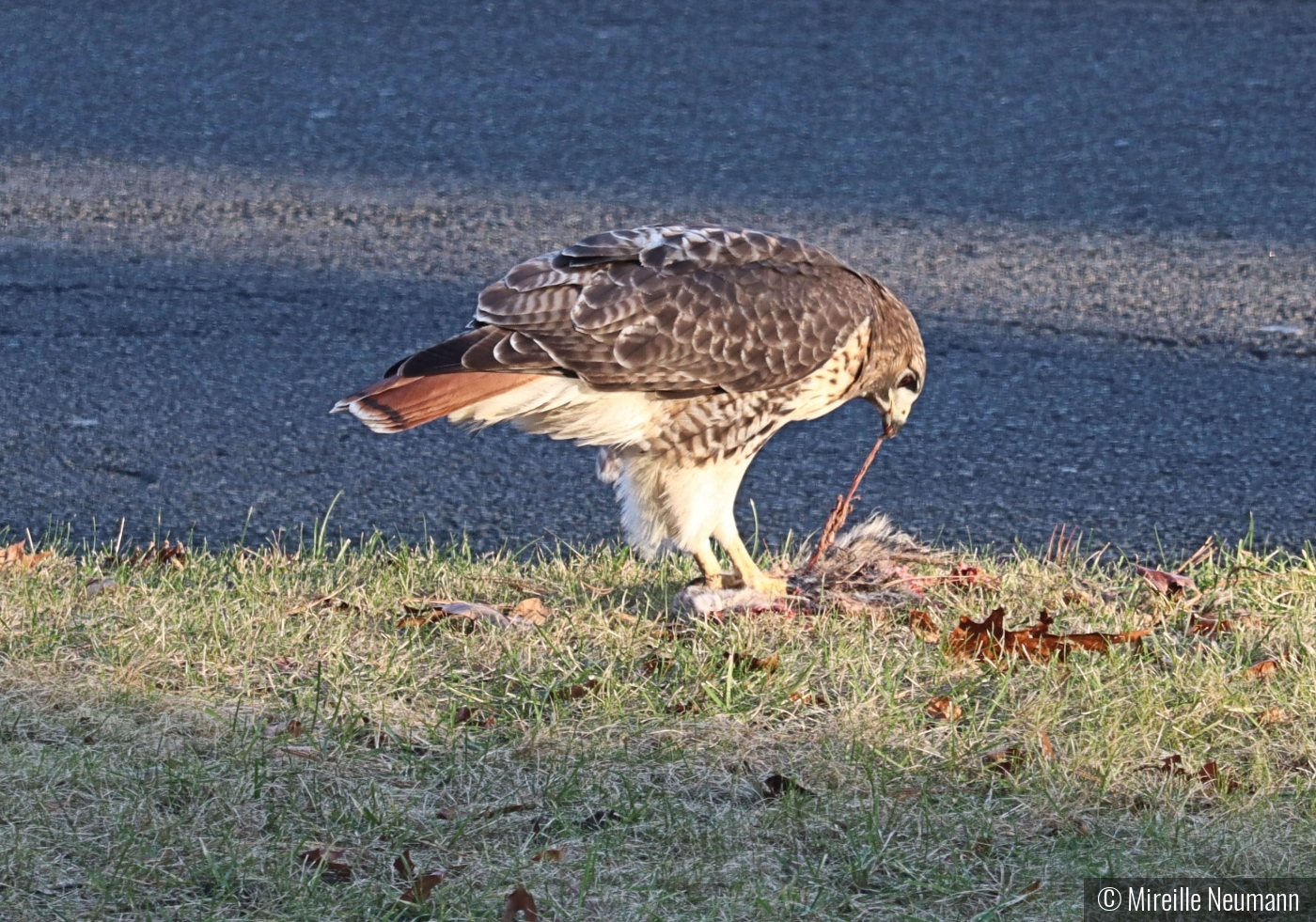 Christmas dinner at the roadside cafe by Mireille Neumann