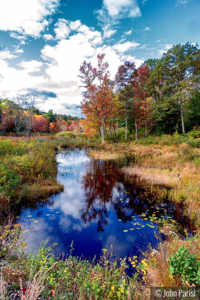 Colebrook by John Parisi