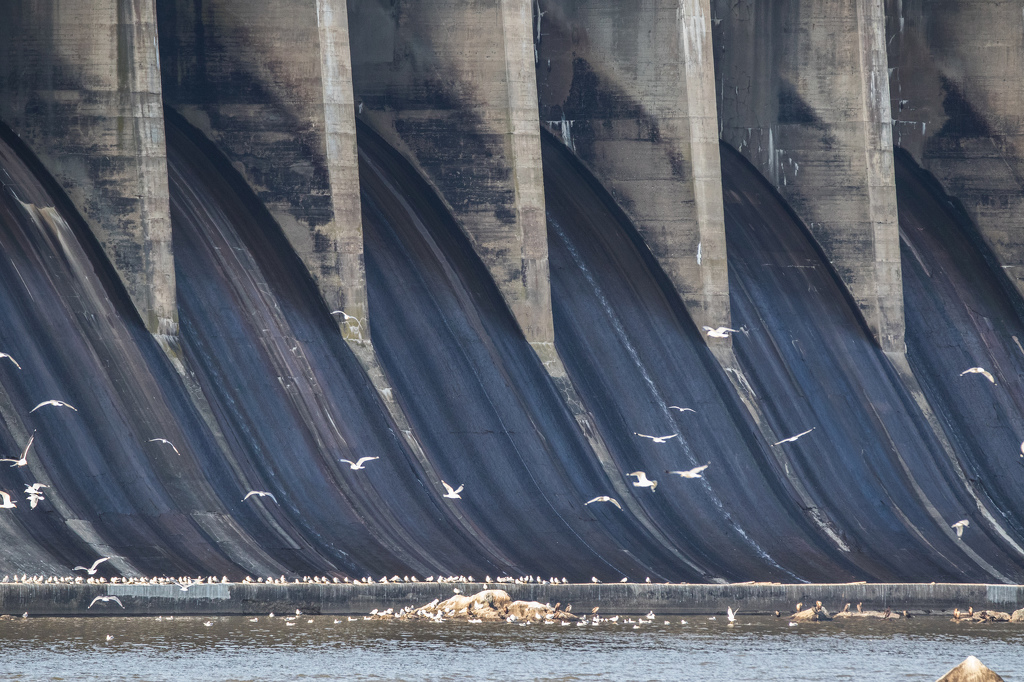 Conwingo Dam by Susan Poirier