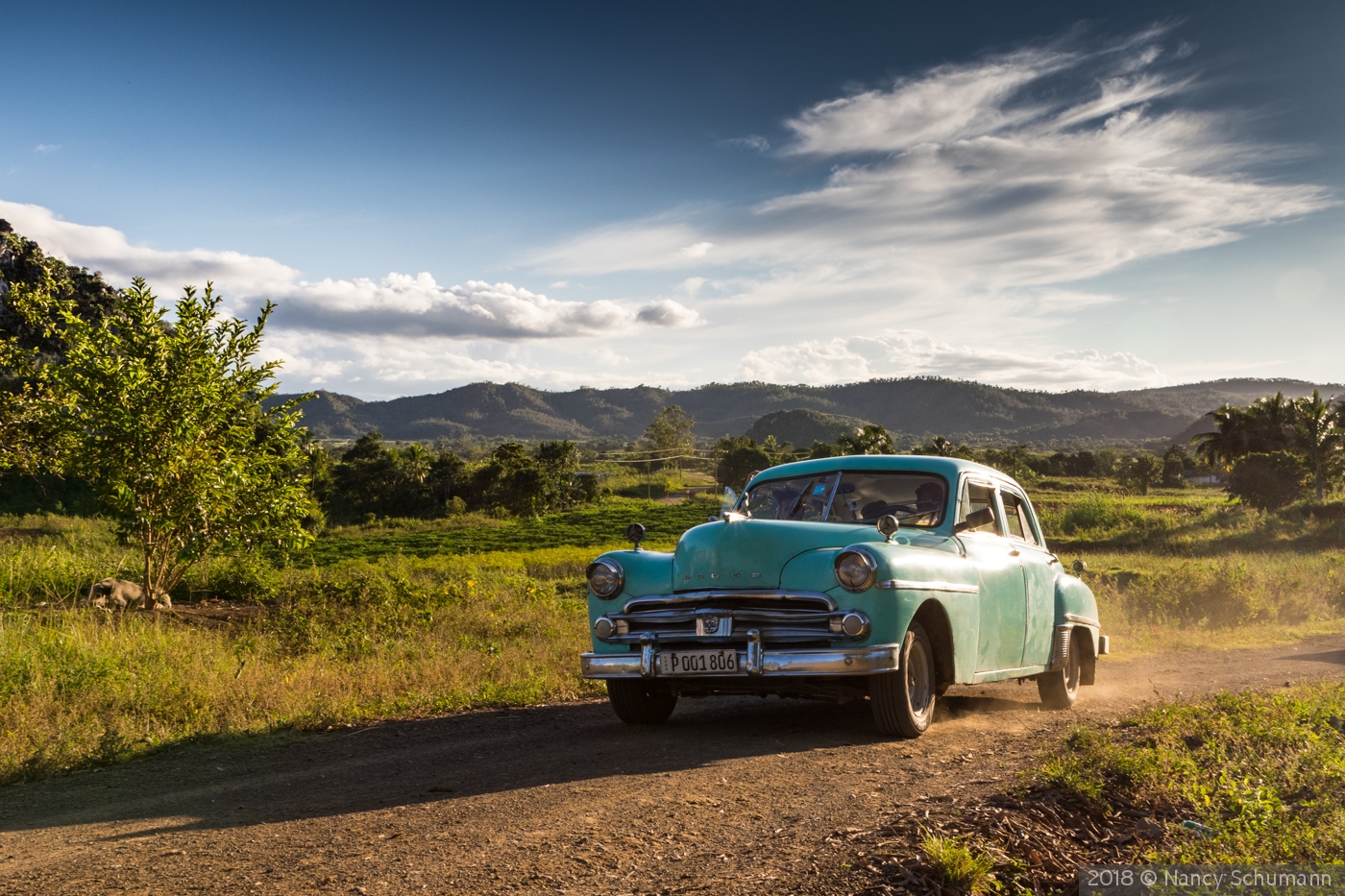 Country Drive by Nancy Schumann