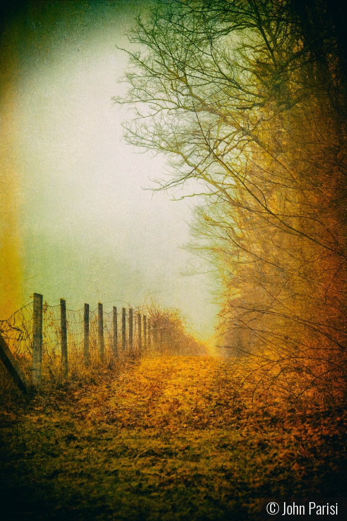 country path by John Parisi