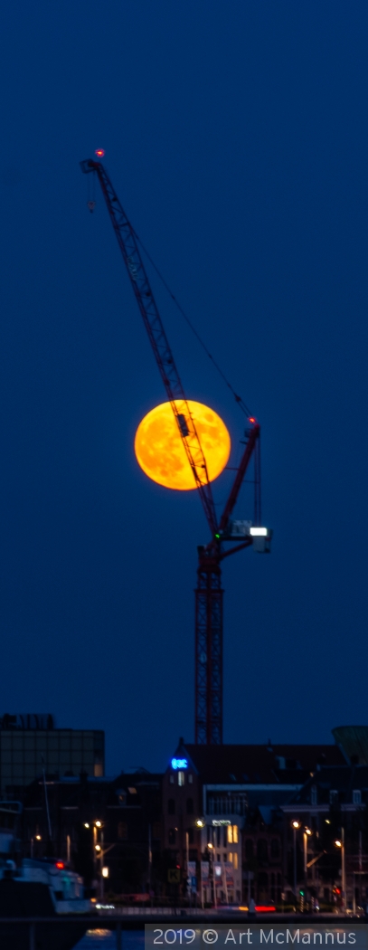 Crane Moon by Art McMannus