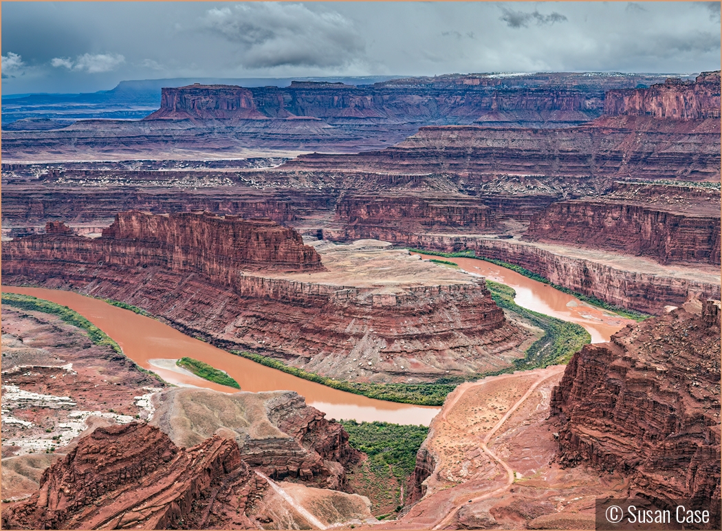 Dead Horse Point by Susan Case