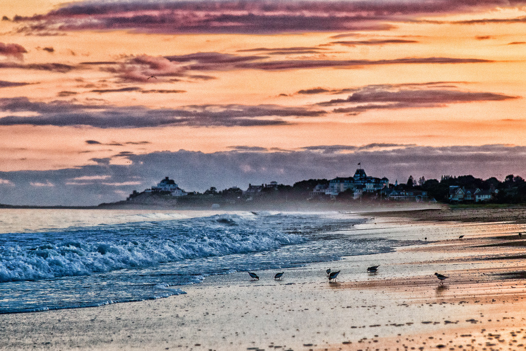 Dinner at Dusk - Photo by Bill Payne