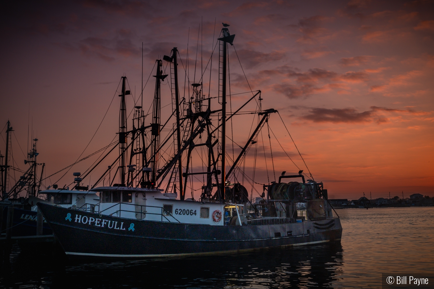 Docked for the Night by Bill Payne