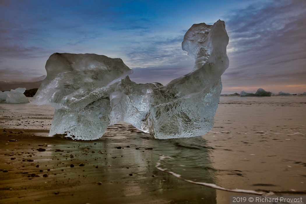 Dog getting some sun by Richard Provost