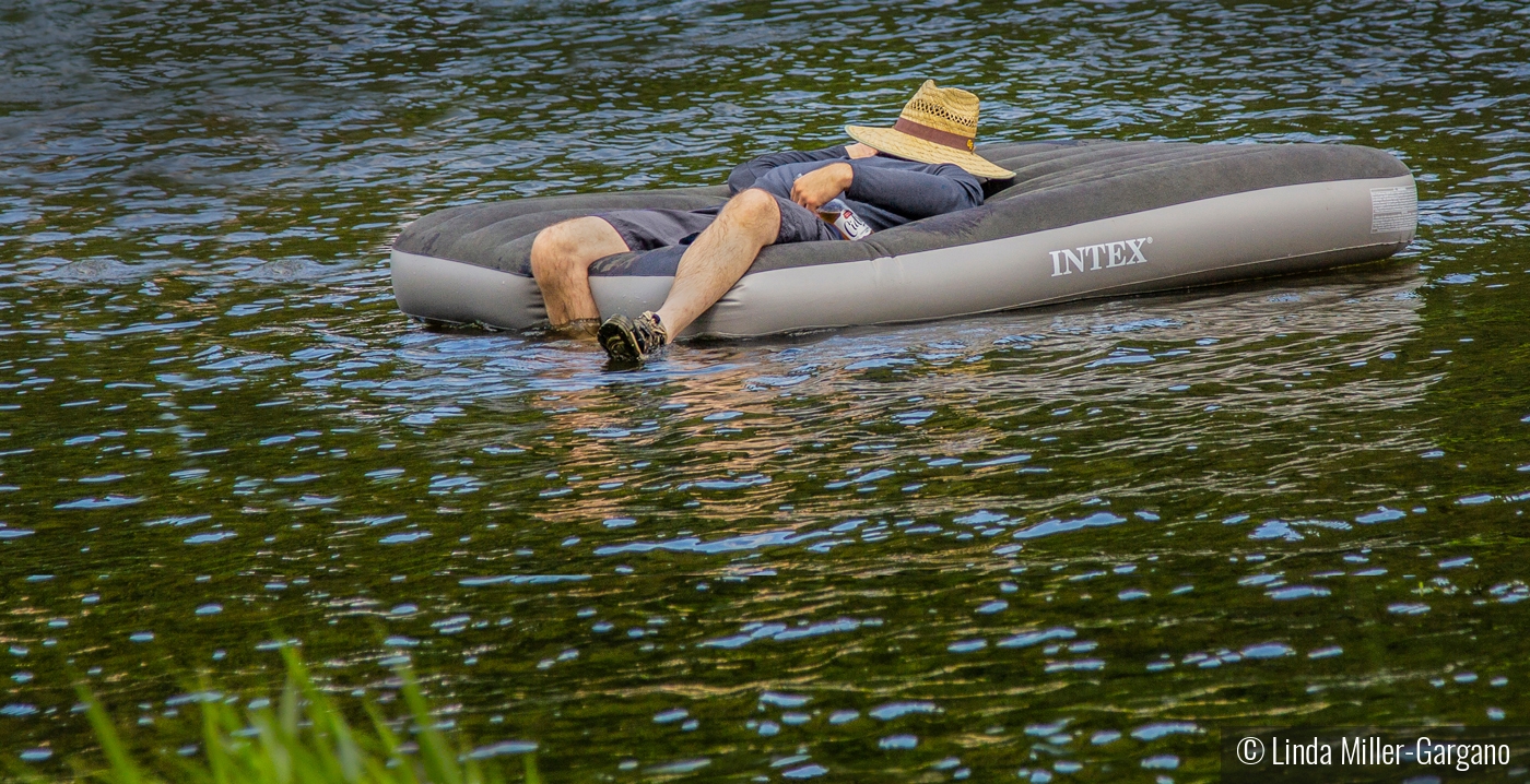 Dozing on the Delaware by Linda Miller-Gargano