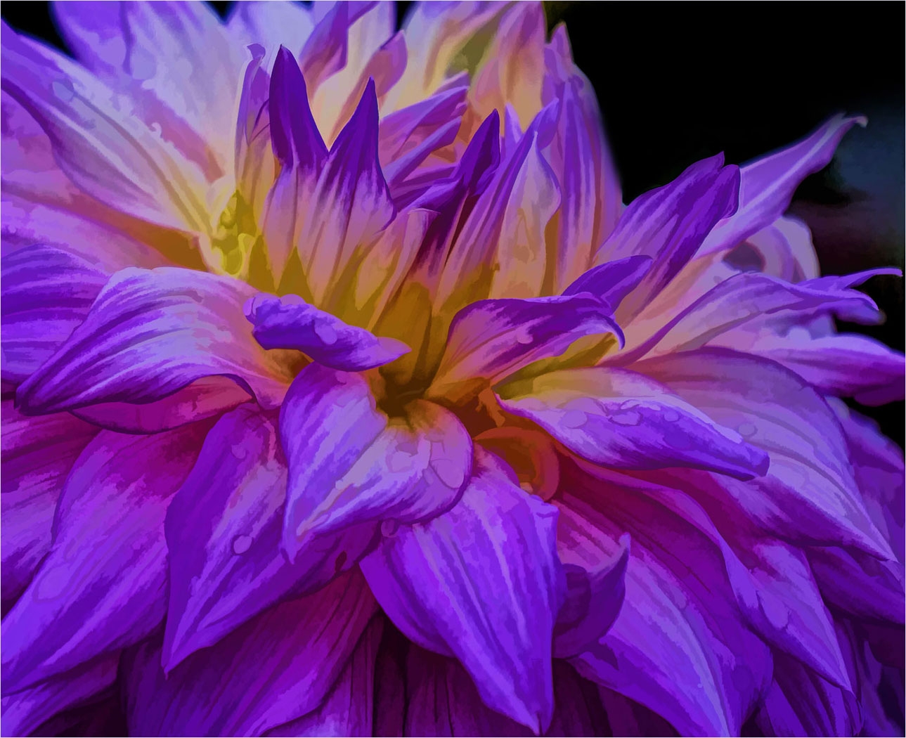 Dreamy Dahlia by Alene Galin